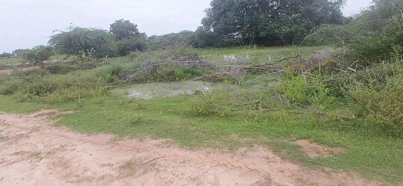 2000 Sq.ft. Commercial Land for Sale in Mariyamman Kovil Rd, Thanjavur