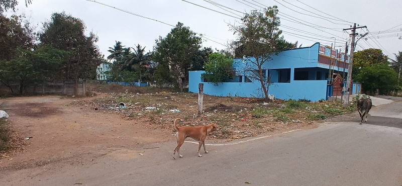  2800 Sq.ft. Residential Plot for Sale in Medical College Road, Thanjavur