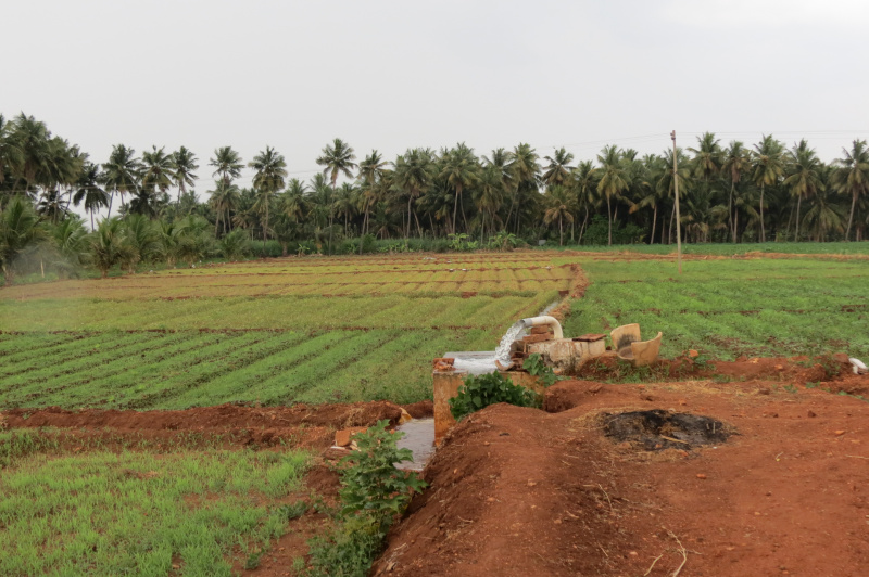  Agricultural Land 2 Acre for Sale in Modakurichi, Erode