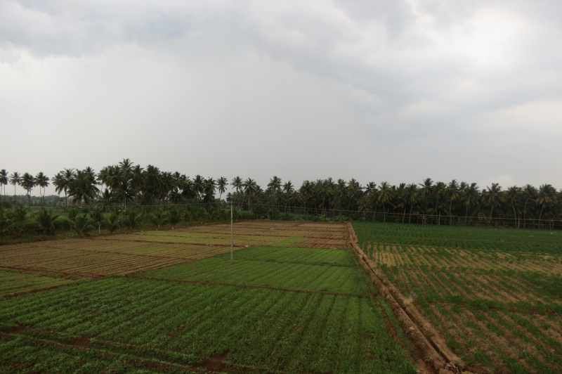  Agricultural Land 2 Acre for Sale in Modakurichi, Erode