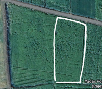  Agricultural Land for Sale in Tijara, Alwar