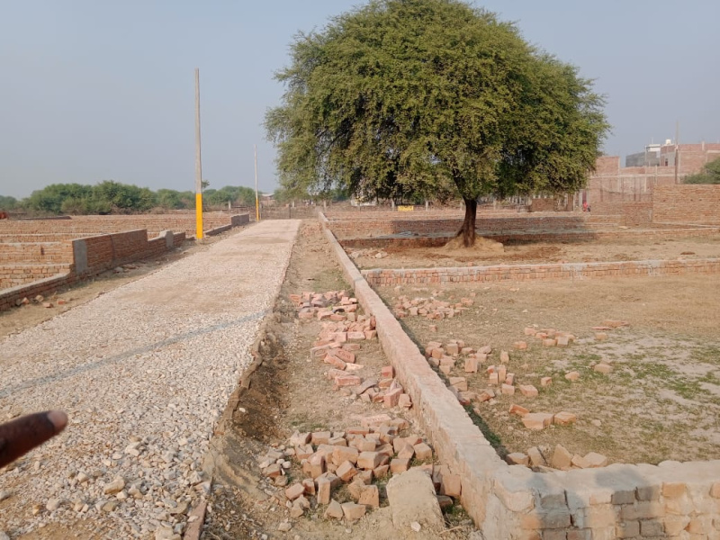  Residential Plot 450 Sq.ft. for Sale in Mundera, Allahabad