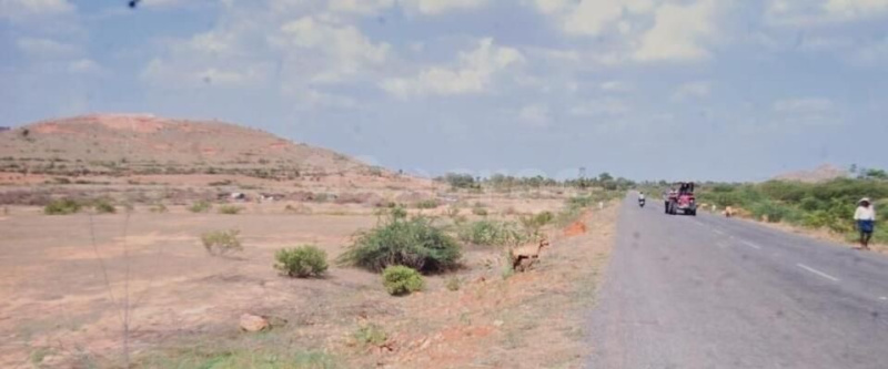  Residential Plot 28 Acre for Sale in Kadiri, Anantapur