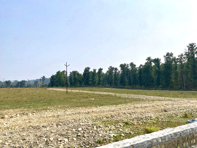  Residential Plot 100 Sq.ft. for Sale in Dandipur, Dehradun