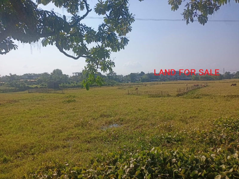  Residential Plot 3 Katha for Sale in Balipara, SONITPUR