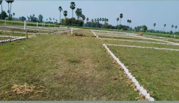  Residential Plot for Sale in Bihta, Patna