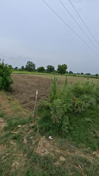  Agricultural Land 4 Bigha for Sale in Chaumuhan, Mathura