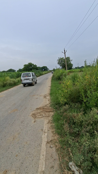  Agricultural Land 4 Bigha for Sale in Chaumuhan, Mathura