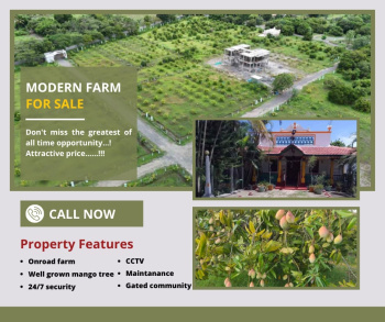  Agricultural Land for Sale in Tindivanam, Chennai