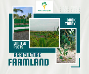  Agricultural Land for Sale in Thirukazhukundram, Chennai