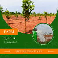  Agricultural Land for Sale in Omr, Chennai