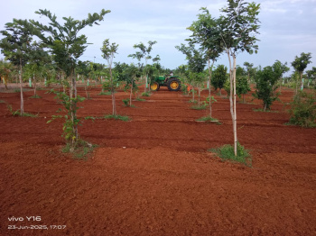  Agricultural Land for Sale in Kalpakkam To Vandalur Road, Chennai