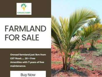  Agricultural Land for Sale in Vittilapuram, Chengalpattu