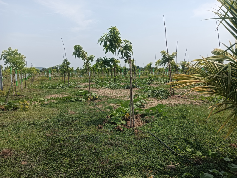Mamandur, Chengalpattu photo 4