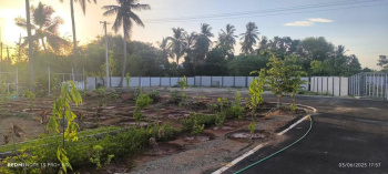  Residential Plot for Sale in Sayapuram, Tiruchirappalli