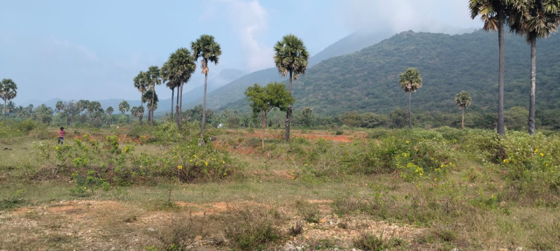  Agricultural Land 15 Acre for Sale in Ethapur, Salem