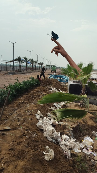  Residential Plot 100 Sq. Yards for Sale in Chhata, Mathura