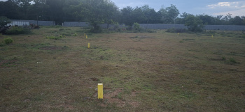  Residential Plot for Sale in Potheri, Chennai