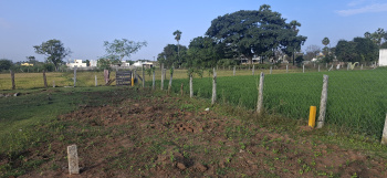  Residential Plot for Sale in Guduvancheri, Chennai