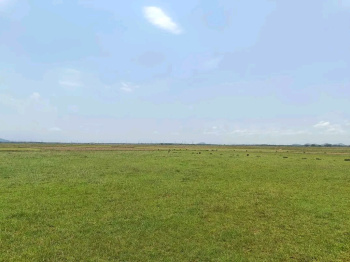  Residential Plot for Sale in Khurda, Bhubaneswar