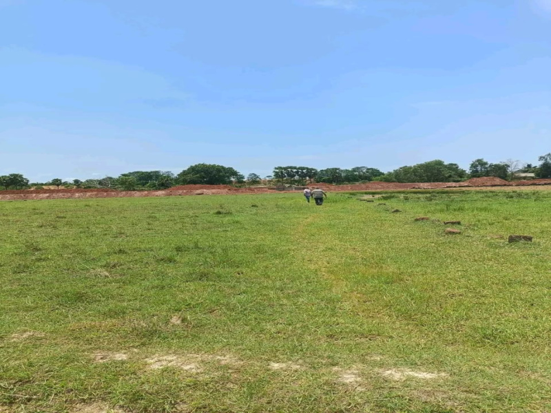  Residential Plot 120 Sq.ft. for Sale in Khurda, Bhubaneswar