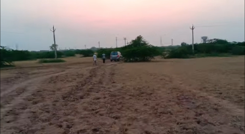  Agricultural Land 25 Bigha for Sale in Vallabhipur, Bhavnagar