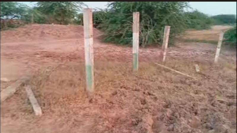  Agricultural Land 25 Bigha for Sale in Vallabhipur, Bhavnagar