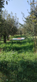  Agricultural Land for Sale in Bijbehara, Anantnag