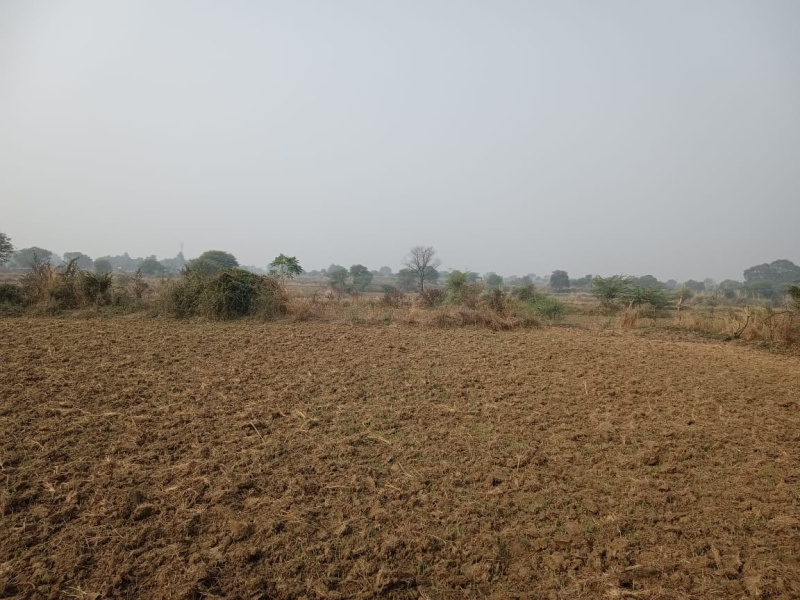  Agricultural Land 8 Bigha for Sale in Pukhrayan, Kanpur Dehat