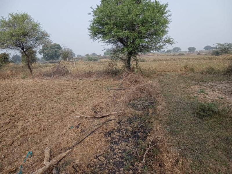  Agricultural Land 8 Bigha for Sale in Pukhrayan, Kanpur Dehat