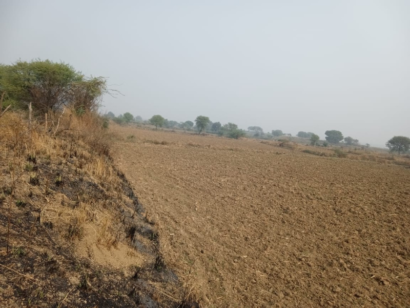  Agricultural Land 8 Bigha for Sale in Pukhrayan, Kanpur Dehat