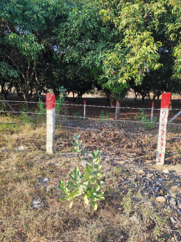  Residential Plot for Sale in Peruru, Tirupati