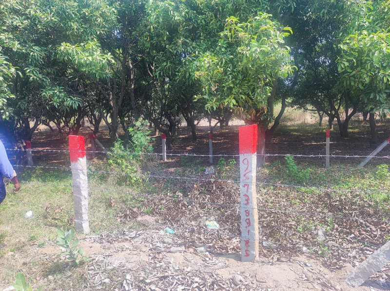  Residential Plot 1400 Sq.ft. for Sale in Peruru, Tirupati