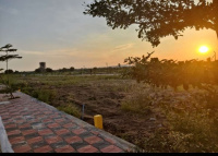 Residential Plot for Sale in Shankarpally, Rangareddy