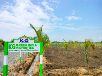  Agricultural Land for Sale in Acharapakkam, Chengalpattu
