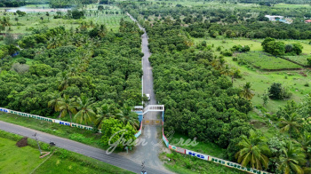 Residential Plot for Sale in Acharapakkam, Chengalpattu