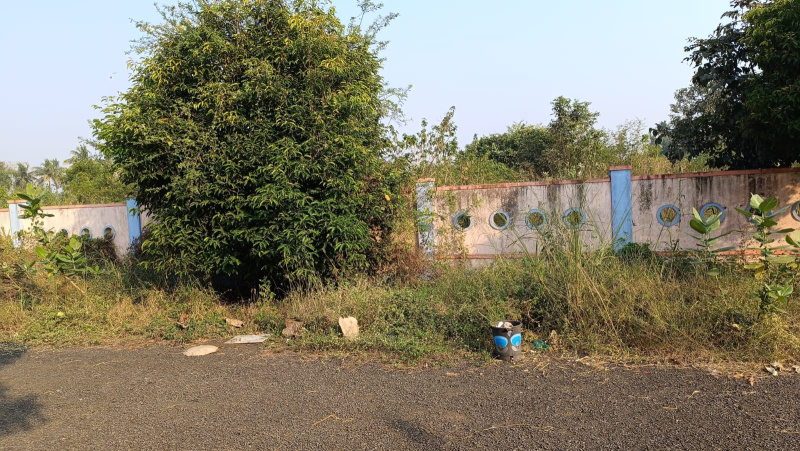  Residential Plot 1501 Sq.ft. for Sale in Mandapeta, East Godavari