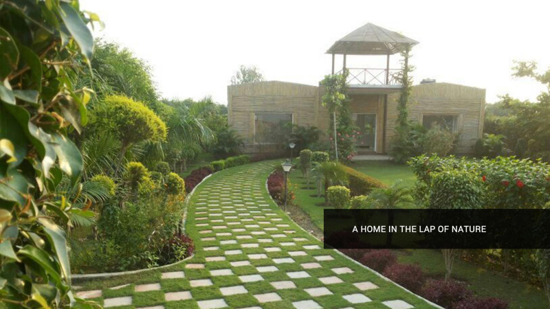  Agricultural Land 1008 Sq. Yards for Sale in Sector 135 Noida