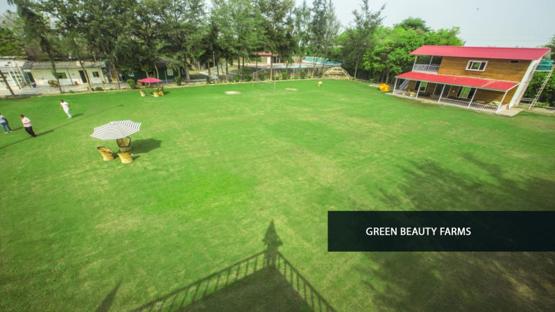  Agricultural Land 3024 Sq. Yards for Sale in Sector 135 Noida