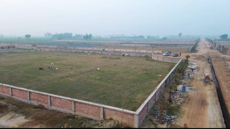 6 BHK Farm House 1031 Sq. Yards for Sale in Nagalia, Palwal