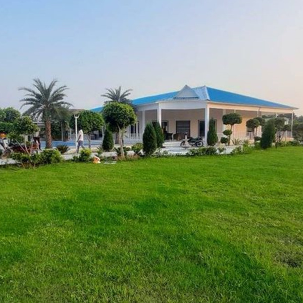 4 BHK Farm House 1008 Sq. Yards for Sale in Sector 135 Noida