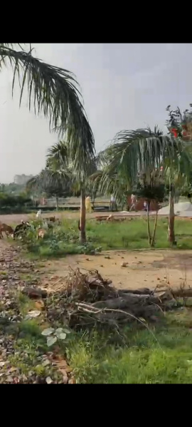  Residential Plot 100 Sq. Yards for Sale in Knowledge Park 2, Greater Noida