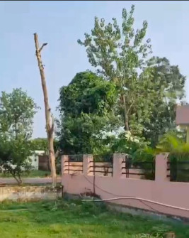  Residential Plot 900 Sq.ft. for Sale in Knowledge Park 2, Greater Noida