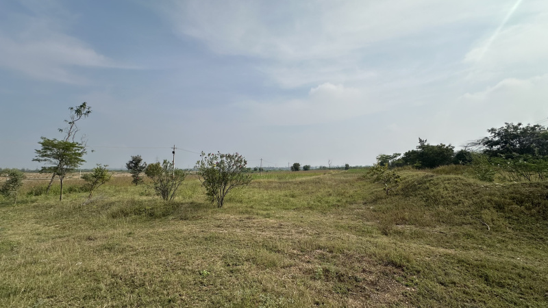  Agricultural Land 45 Acre for Sale in Hiriyur, Chitradurga