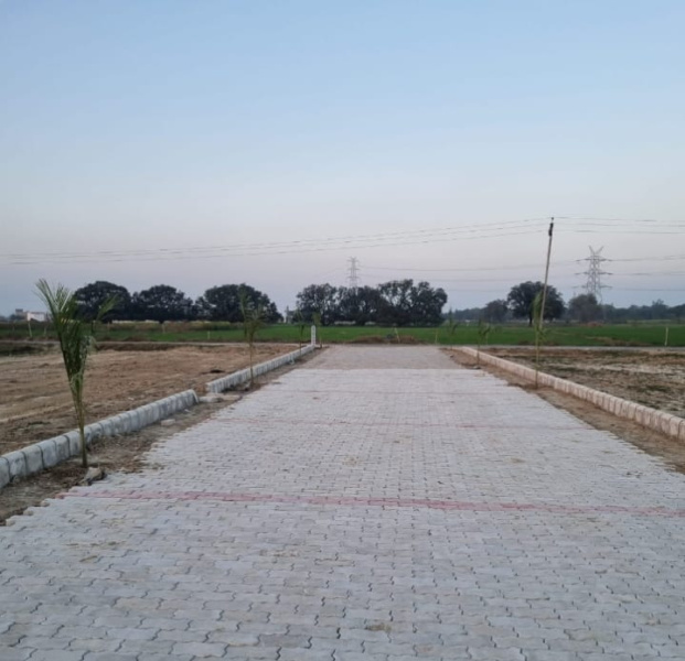  Residential Plot 1000 Sq.ft. for Sale in Mohan Road, Mohan Road, Lucknow