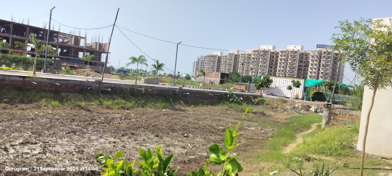  200 Sq. Yards Residential Plot for Sale in Sector 9 IMT Manesar, Gurgaon