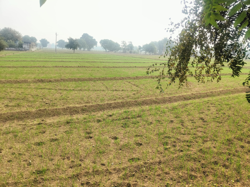  Residential Plot 5 Bigha for Sale in Fatehabad Road, Agra