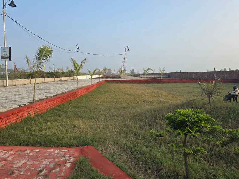  Residential Plot 750 Sq.ft. for Sale in Patanjali Yogpeeth, Haridwar