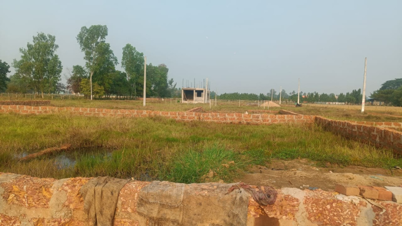  Residential Plot 1500 Sq.ft. for Sale in Phulnakhara, Bhubaneswar