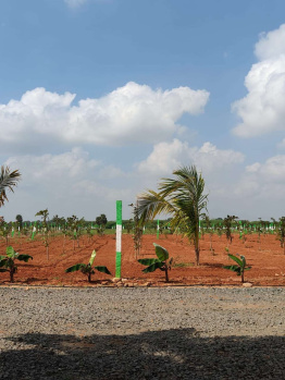  Agricultural Land for Sale in Madurantakam, Kanchipuram